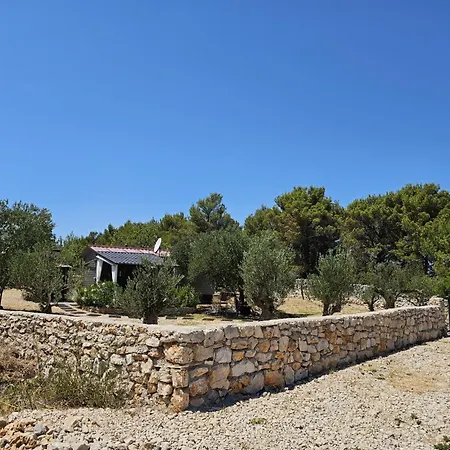 Punta Appartamento
